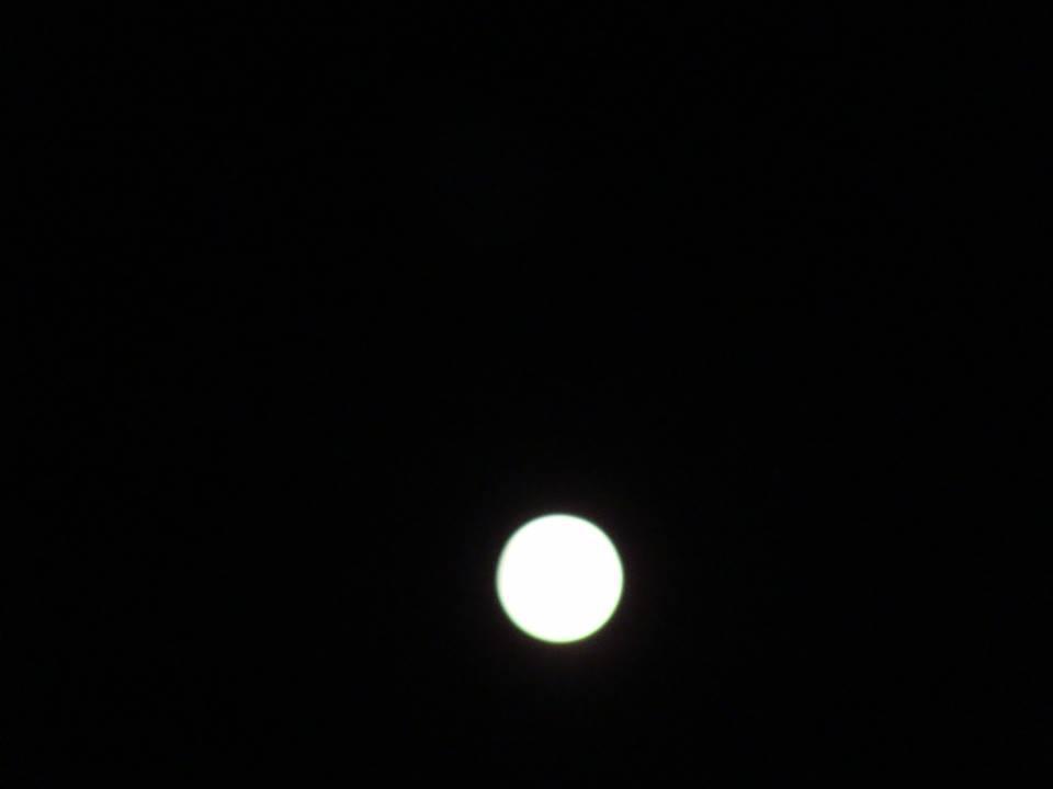 12079139_10208007200638666_1456642130845