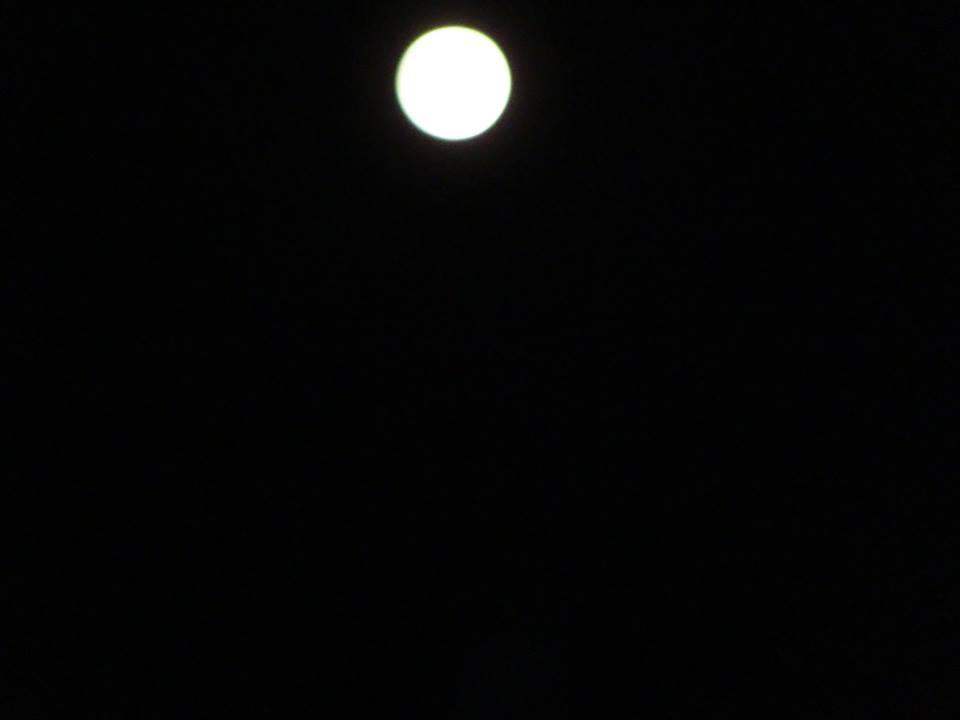 12079139_10208007200918673_8739225985127