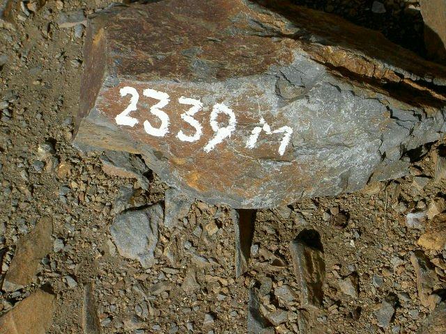 2339m-g.thumb.jpg.54a48a1b9aca46108029d3