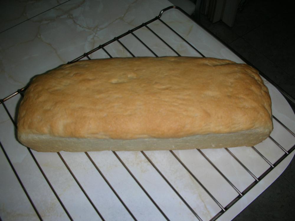DSCN2370.JPG
