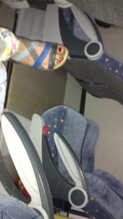 IMG-20150908-WA0004.thumb.jpeg.678d0100b