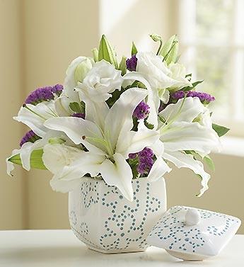flores.thumb.jpg.3d9f1cc0007d564fccf51f2