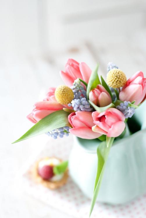 flores.thumb.jpg.42cc29c4dec2f4459b44021