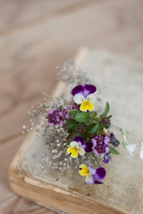 flores.thumb.jpg.5c9ea1742022b85b269a381