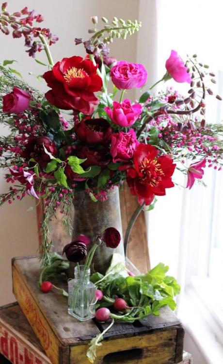 flores.thumb.jpg.68961797e15b3a2e638bc29