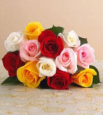 flores.thumb.jpg.839b1b713bbb82318e7dc91