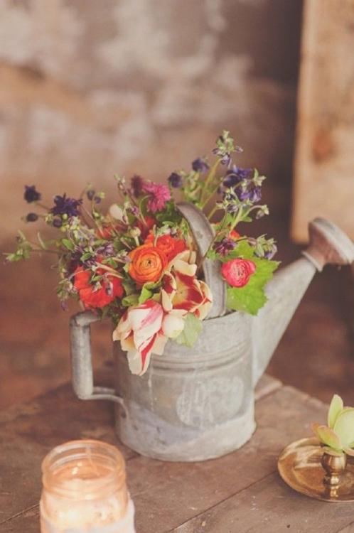 flores.thumb.jpg.b38b595e3e6f1fbbc6976ab