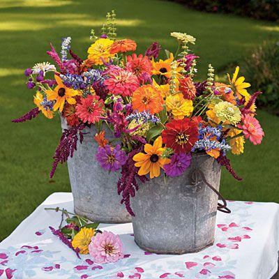 flores.thumb.jpg.bc300f0dcabaf26ce137e88