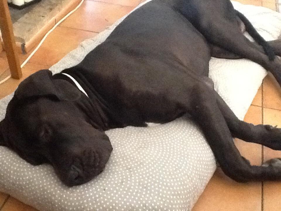 image.thumb.jpg.f5cd26208880de25380802d1