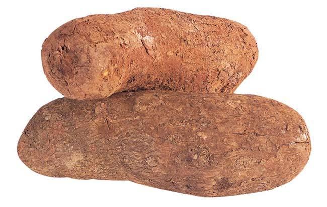 650_1200.thumb.jpg.cd05779768968ee4f44d6