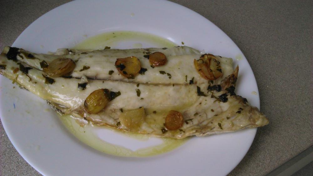 DSC_0268.thumb.JPG.9a99d4afc0878f1970f72