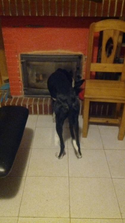 IMG-20151024-WA0000.thumb.jpeg.519afeaef