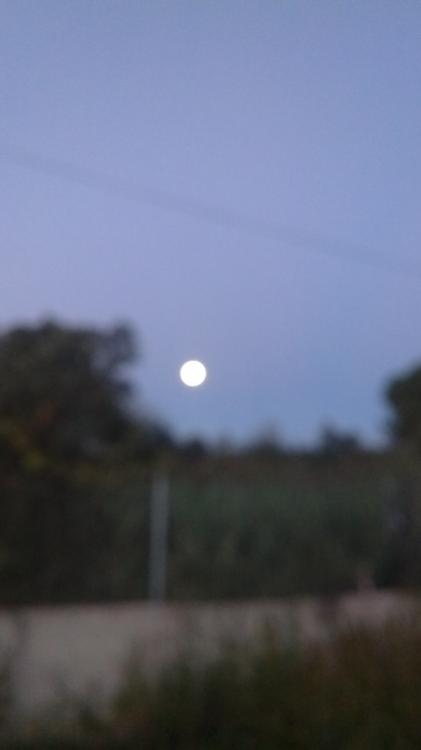 IMG_20151028_070421.thumb.jpg.0cab80b72b