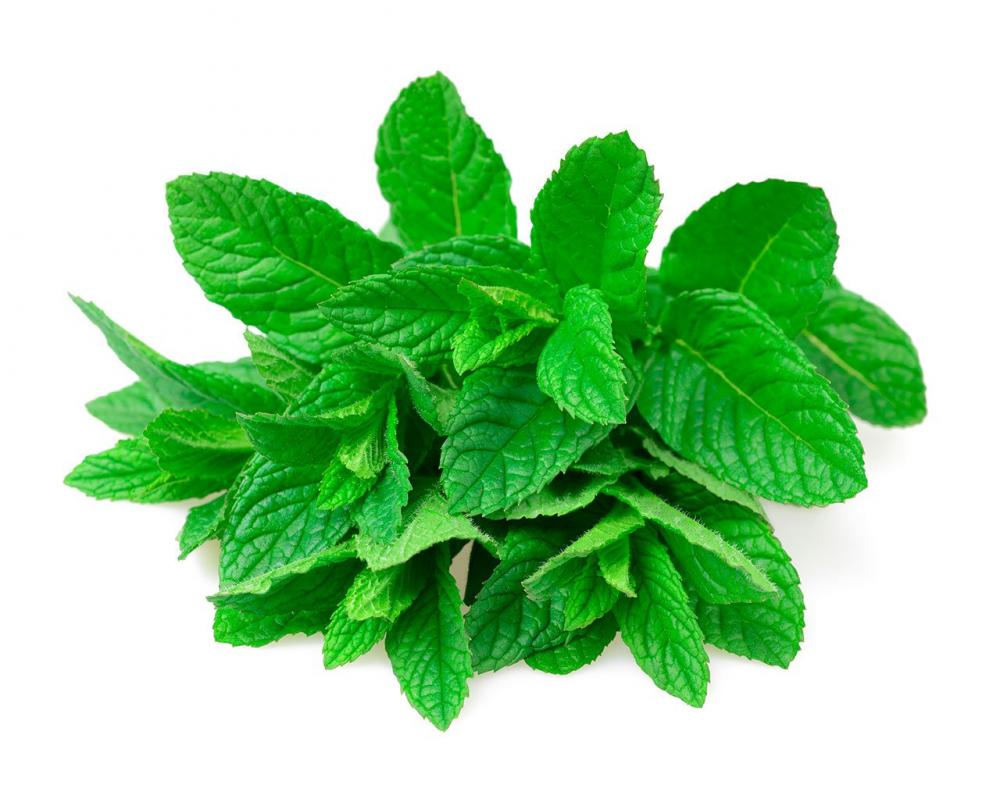 Menta-Mint.jpg
