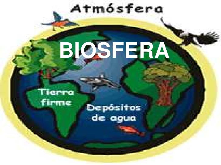 biosfera-lis-1-728.jpg
