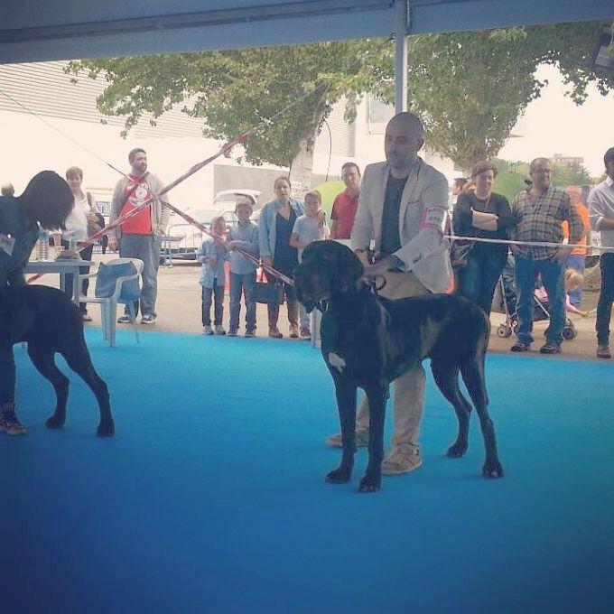 django_talavera.thumb.jpg.3b5f71bd0213fa