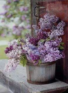 flores.thumb.jpg.6a038ac4dd59b6710f1cf1d
