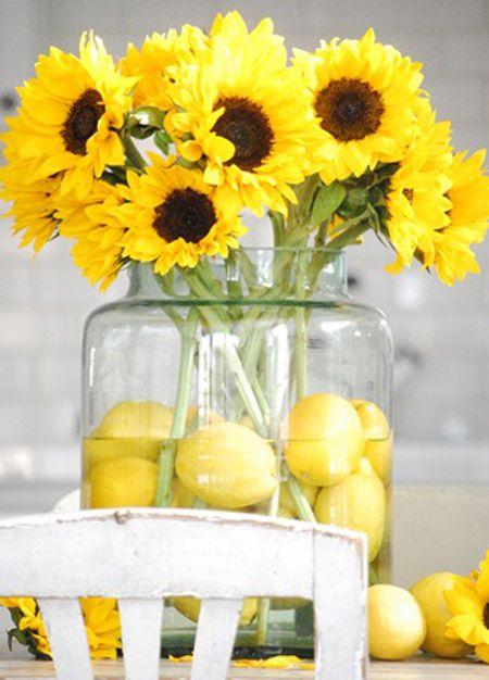 floresl.thumb.jpg.25c9919bf692ef87b871dd