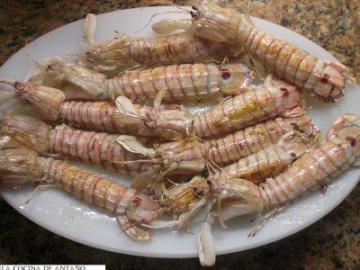 galeras-fritas.thumb.JPG.67d80288bf36e74