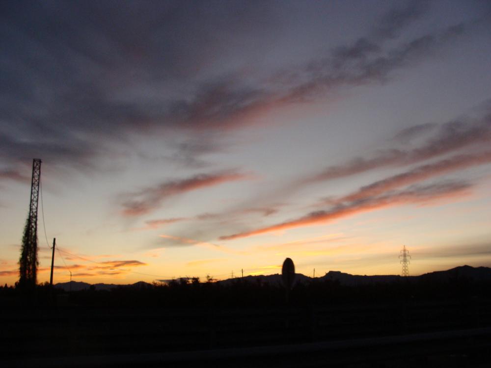 DSC03835.thumb.JPG.48cc13a9614a1a14bf004