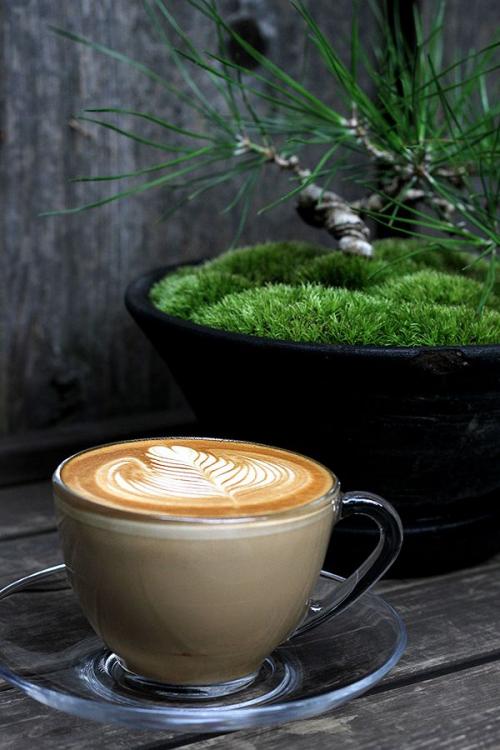 cafeleche.thumb.jpg.e3e52e798a8f149f7765