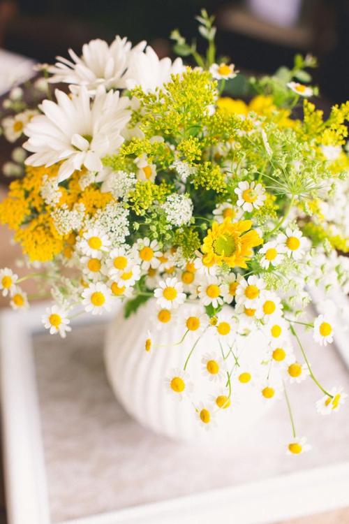 flores.thumb.jpg.45591f6838354c69e9b3708