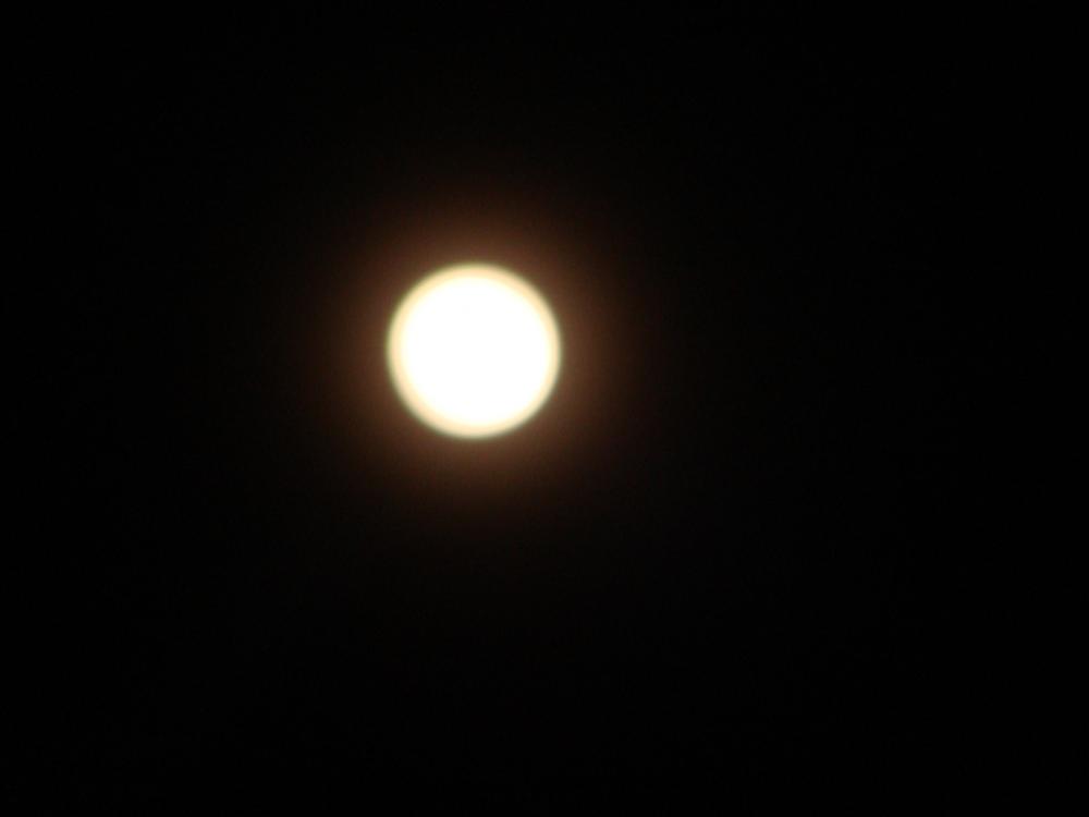 DSC04159.thumb.JPG.28d435da06bb66921fcd3