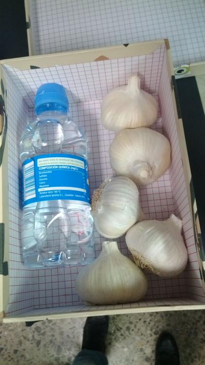 IMG-20151202-WA0029.thumb.jpeg.381c97892