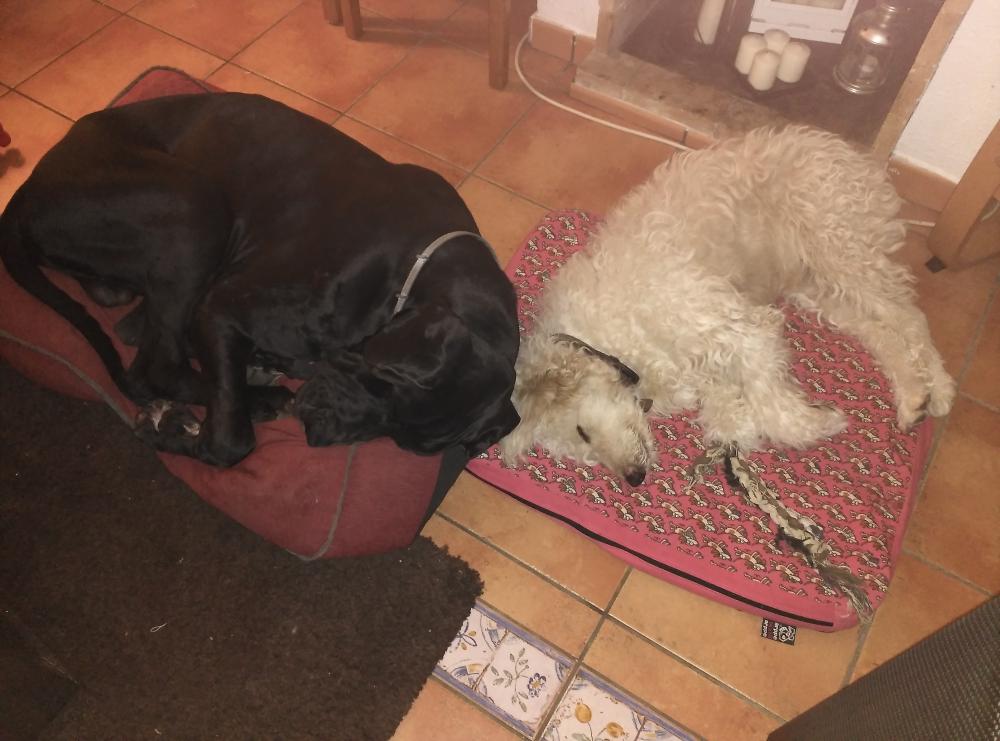 IMG_20151223_230518.thumb.jpg.5d665111f2