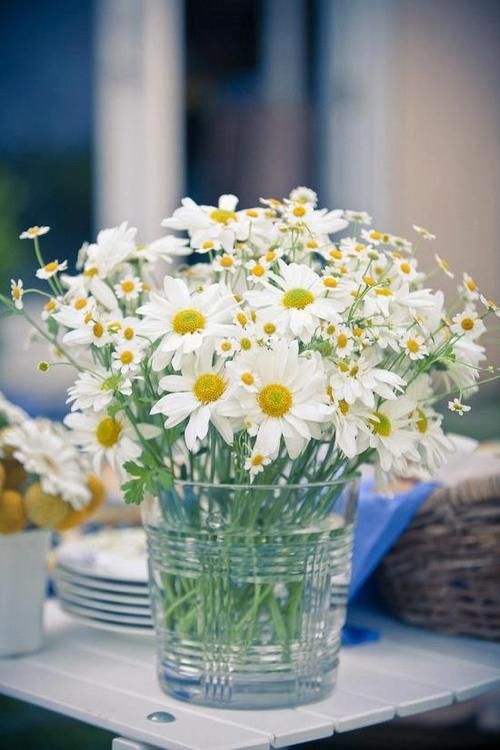 flores.jpg.3828cb6d490213b695a27e4d52bf7
