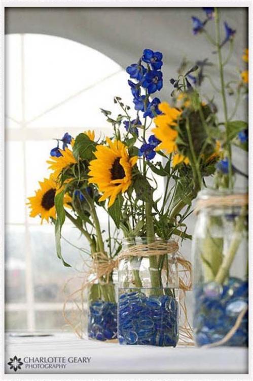 flores.thumb.jpg.c9fd2d8d3eb6bb43cc46213