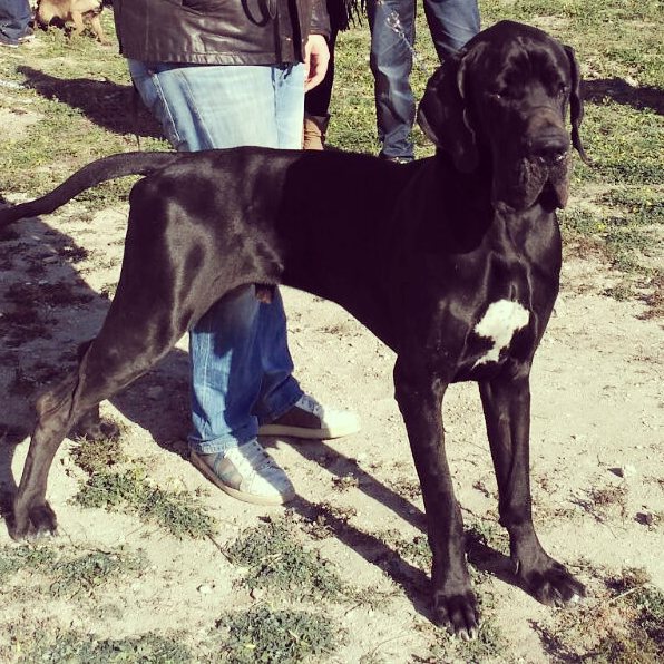 12512518_10153760203345734_6142379366997