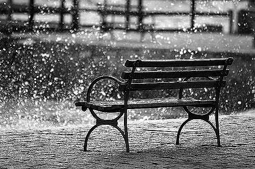 1354613859.jpg.d9a3c82f319c6575953f5b031