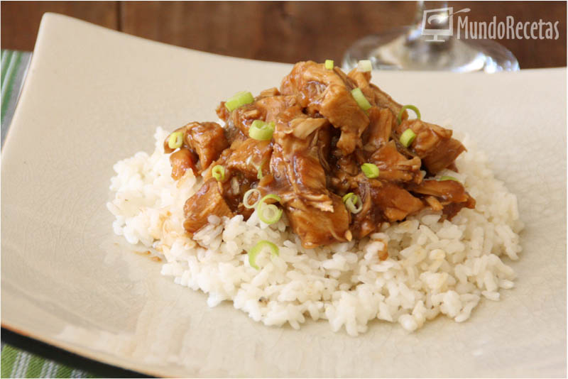 pollo ajomiel crock pot 1.jpg