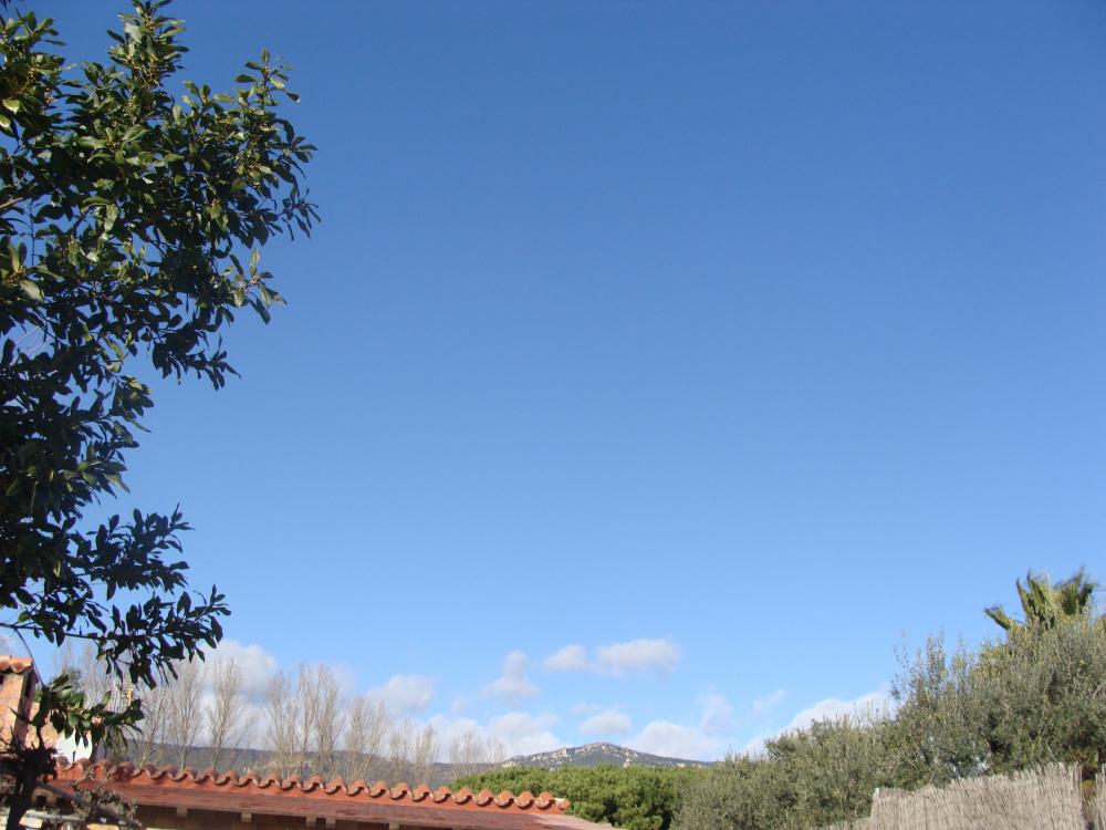 DSC04294.thumb.JPG.c261ac04d625e89e94fe4
