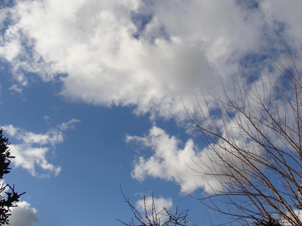 DSC04316.thumb.JPG.eeab8ea339e20b462777d