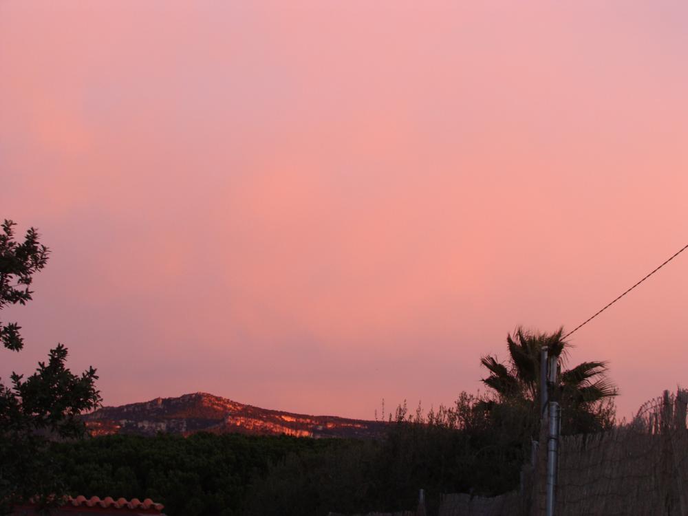 DSC04336.thumb.JPG.9f0199f738b12bd8c796a