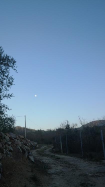 IMG_20160121_173307.thumb.jpg.2ab34e9eaf