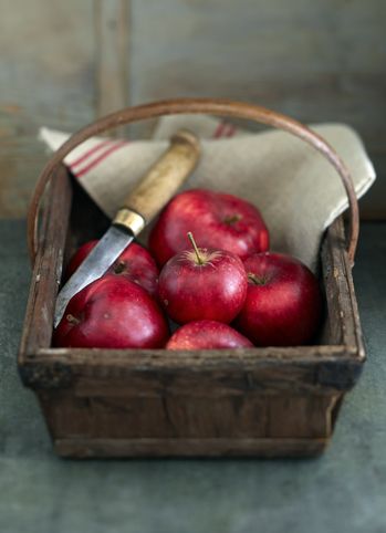 fruta.jpg.d1c8fa976647048a22a11fa3f82a6b
