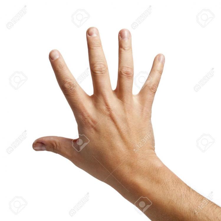 13395413-Colpo-isolato-del-dorso-della-m