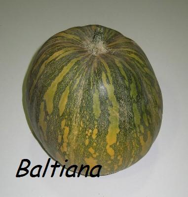 56e07876a9b63_recetasdecalabaza1.jpg.448