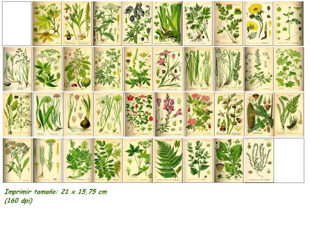 56e35d223ee13_Paraimprimir160dpi.thumb.j