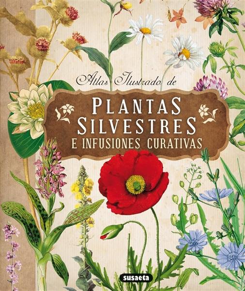 Atlas_ilustrado_de_plantas_silvestres_e_infusiones_curativas-Tomanova_Eliska-9788467722864.jpg