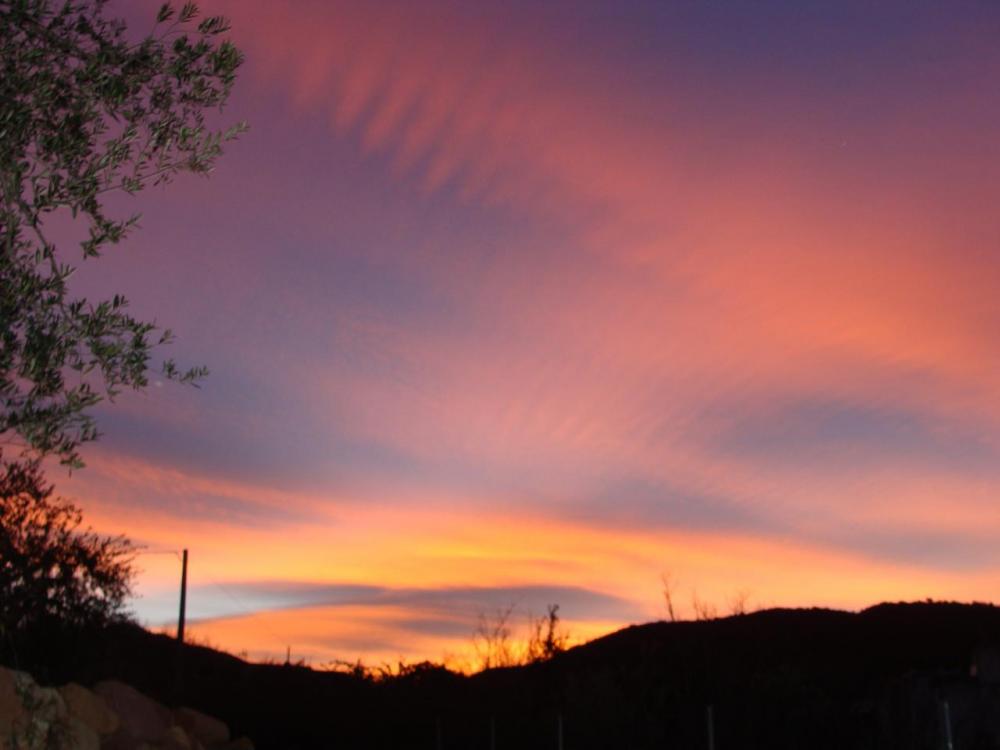 DSC04816.thumb.JPG.c7c37f646a20f755d7a27