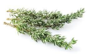 descarga.jpg.354526b5b308ab1d34a596186d1