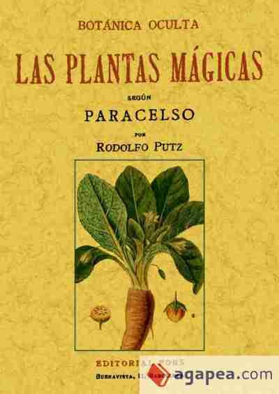 poltada-i6n1967435.jpg.b23237bf5a95fb27c