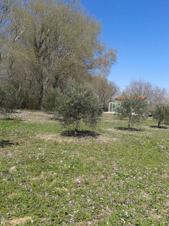 2016-04-02 12.53.20.jpg