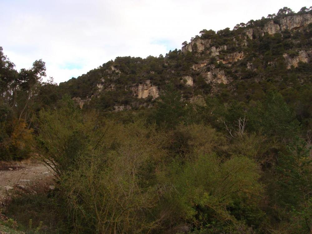 DSC05211.JPG