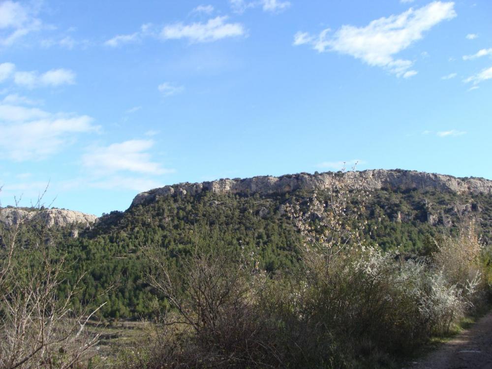 DSC05233.JPG