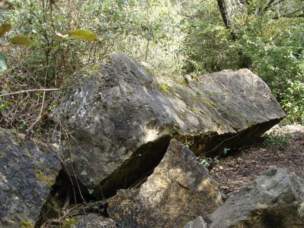 DSC05265.JPG